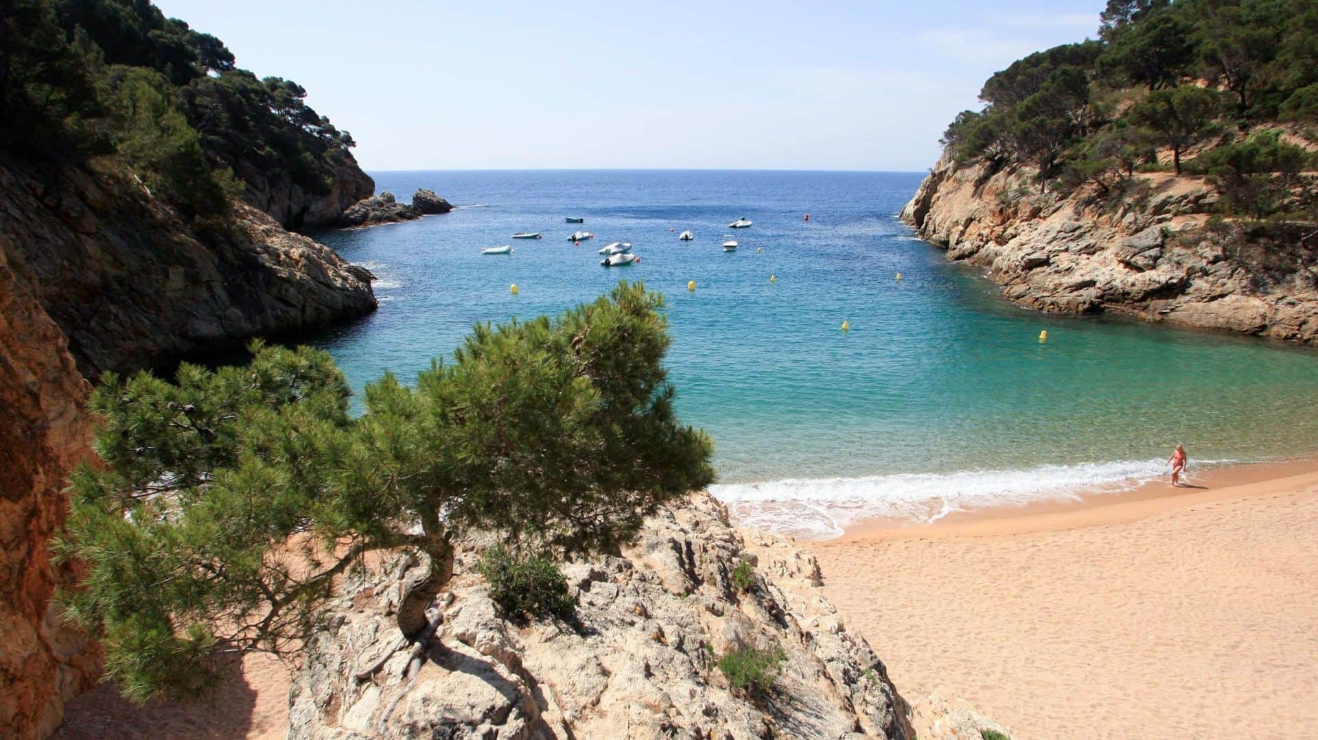 Costa Brava and Tossa de Mar with Panoramic Boat Ride Small Group Day Tour - In out Barcelona Tours