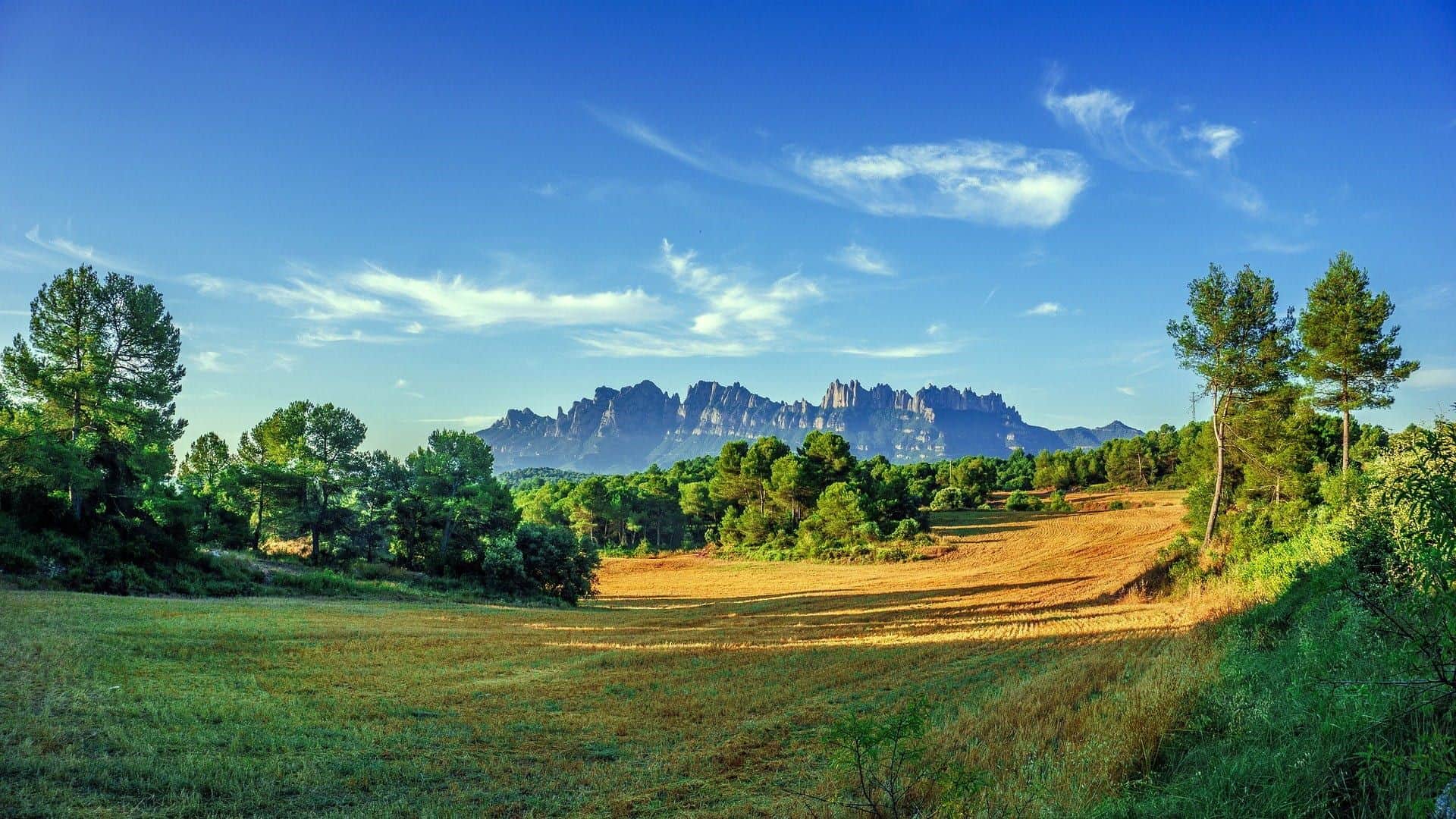 Montserrat Live Small Group Virtual Tour - In out Barcelona Tours