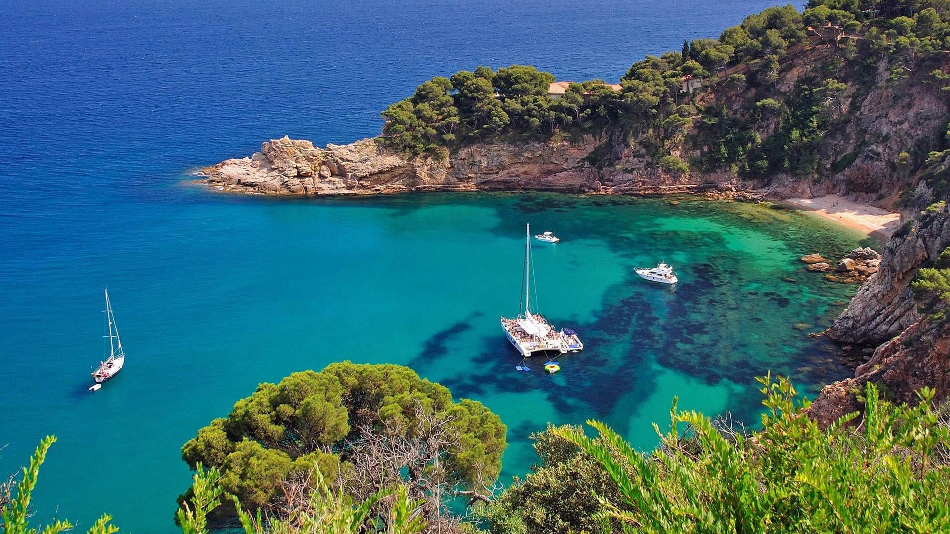 Private Tour and Tailor made experiences - In out Barcelona Tours